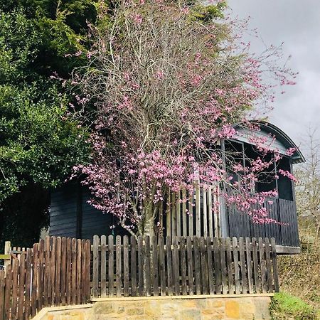 The Cherry Tree Gypsy Wagon Banbury Extérieur photo